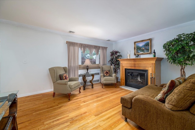19 Croyden St, New Hyde Park, NY 11040 - living room with radiator, light wood-style flooring, a glass covered fireplace, ornamental molding, and baseboards
