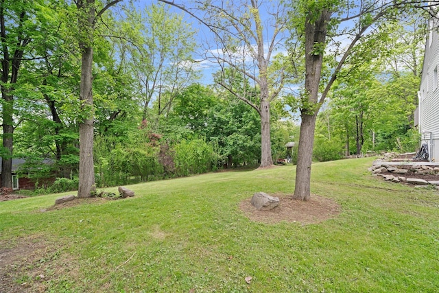 view of grassy yard