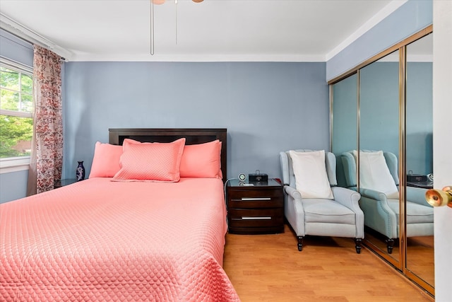 bedroom featuring a closet and wood finished floors