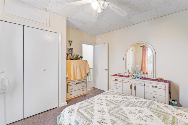 477 Berriman St, Brooklyn, NY 11208 - bedroom featuring a paneled ceiling, carpet flooring, a closet, and ceiling fan