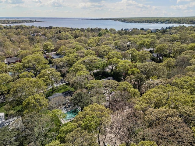 10 Shinnecock Ln, Hampton Bays, NY 11946 - aerial view of property's location with a nearby body of water and a forest