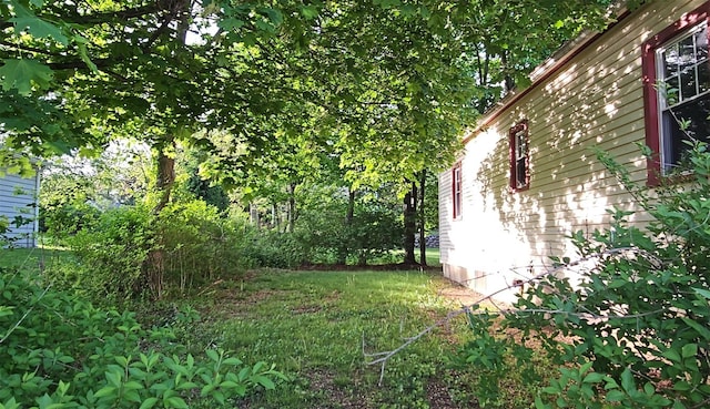 233 Peaceable Hill Rd, Brewster, NY 10509 - view of yard