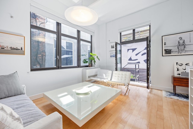 242 S 1st St Unit 1D, Brooklyn, NY 11211 - living area with plenty of natural light and light wood-style flooring
