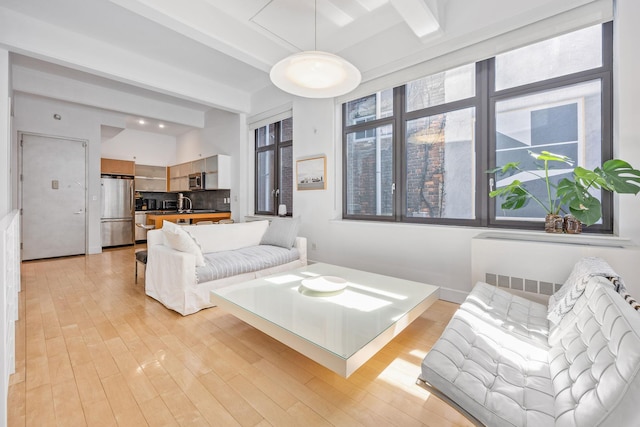 242 S 1st St Unit 1D, Brooklyn, NY 11211 - living room with light wood finished floors