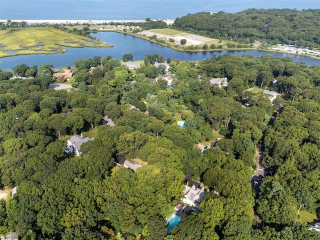 aerial view of property's location featuring a heavily wooded area and a large body of water