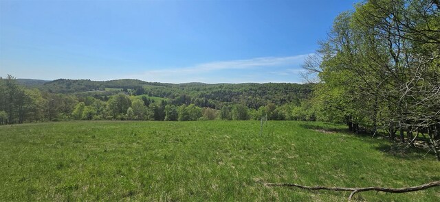 26 Beckys Hill Rd, Hurleyville, NY 12747 - view of mountain backdrop featuring a heavily wooded area and rural landscape