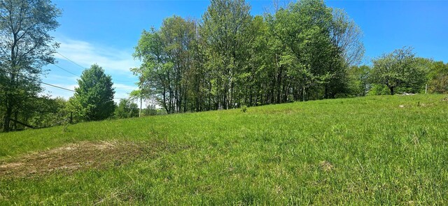 26 Beckys Hill Rd, Hurleyville, NY 12747 - view of nature