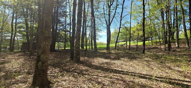26 Beckys Hill Rd, Hurleyville, NY 12747 - view of local wilderness