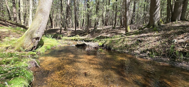 26 Beckys Hill Rd, Hurleyville, NY 12747 - view of local wilderness
