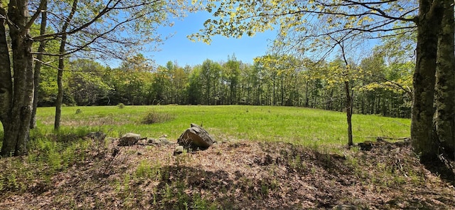 26 Beckys Hill Rd, Hurleyville, NY 12747 - view of tree filled area