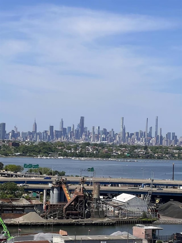 water view featuring a view of skyline and a notable bridge
