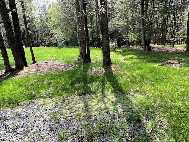 265 Old Tacy Rd Unit Tr95, Swan Lake, NY 12783 - view of yard featuring a view of trees