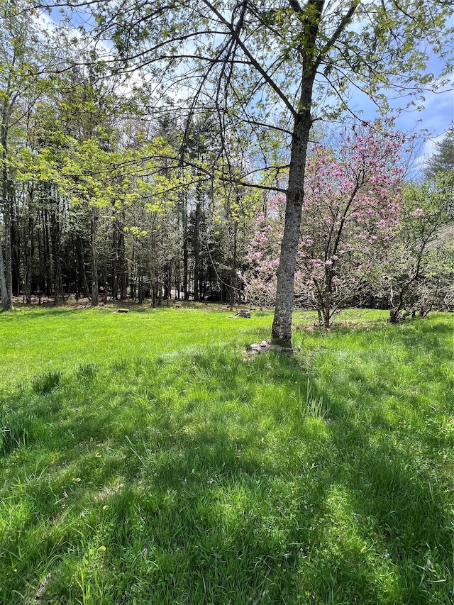 265 Old Tacy Rd Unit Tr95, Swan Lake, NY 12783 - view of yard