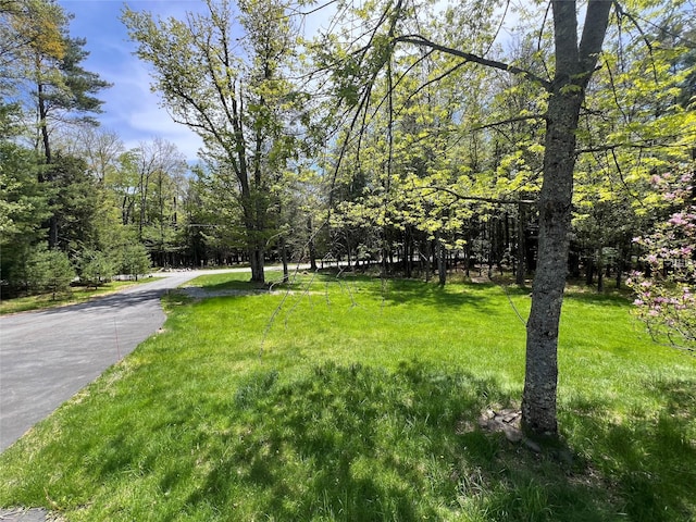 265 Old Tacy Rd Unit Tr95, Swan Lake, NY 12783 - view of property's community featuring a yard