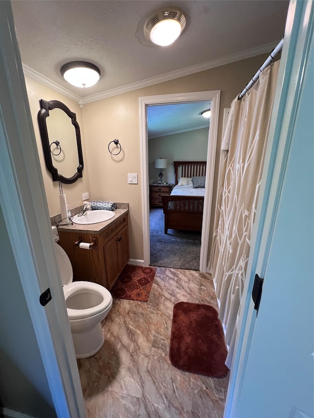 265 Old Tacy Rd Unit Tr95, Swan Lake, NY 12783 - bathroom with crown molding, vanity, toilet, baseboards, and a textured ceiling