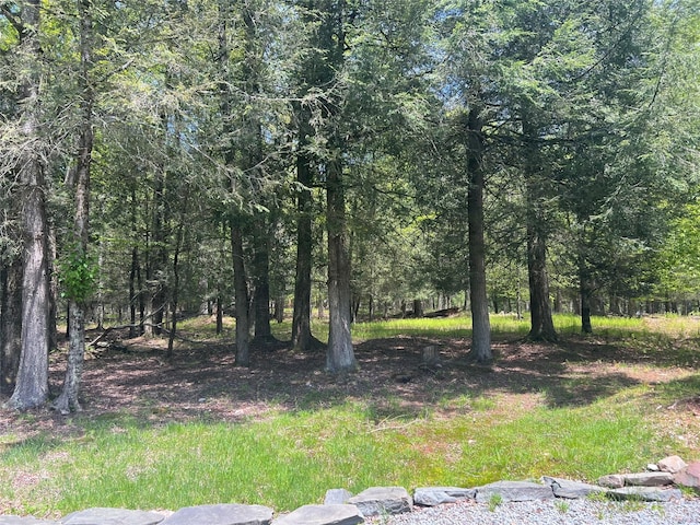 265 Old Tacy Rd Unit Tr95, Swan Lake, NY 12783 - view of woods