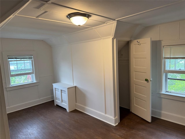 163-18 Cryders Ln, Whitestone, NY 11357 - unfurnished bedroom with lofted ceiling, dark wood-type flooring, and multiple windows