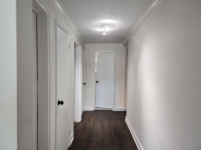 79 N Broadway Unit H, White Plains, NY 10603 - corridor with dark wood-type flooring, baseboards, and crown molding