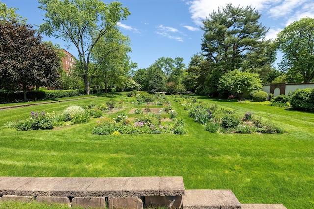 view of grassy yard