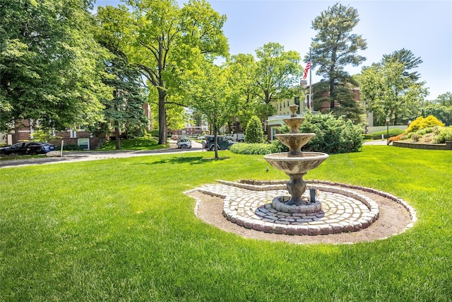 view of community with a lawn