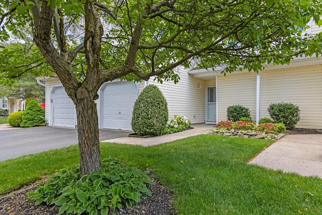 view of front of property with a front lawn