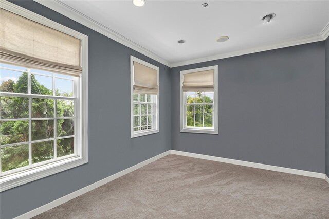 2 Cerf Ln, Mount Kisco, NY 10549 - carpeted spare room with baseboards, ornamental molding, and recessed lighting