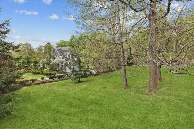 2 Cerf Ln, Mount Kisco, NY 10549 - view of grassy yard