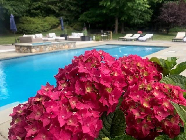 2 Cerf Ln, Mount Kisco, NY 10549 - outdoor pool with a patio area and view of scattered trees