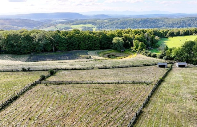 26 Mountain Farm Rd, Millerton, NY 12546 - photo 31