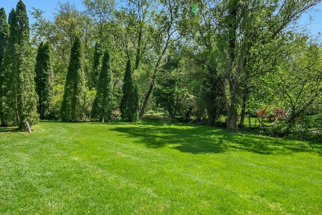 40 Brookby Rd, Scarsdale, NY 10583 - view of green lawn