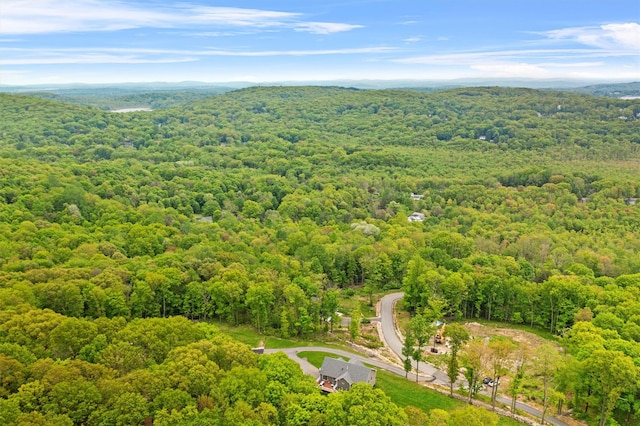 22 Eagle Hill Rd, Mahopac, NY 10541 - photo 43