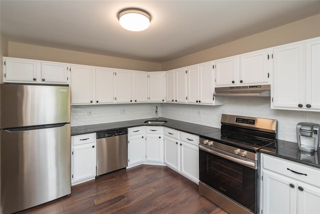 9 Clara Ct, Cortlandt Manor, NY 10567 - kitchen featuring stainless steel appliances, a sink, under cabinet range hood, and white cabinetry