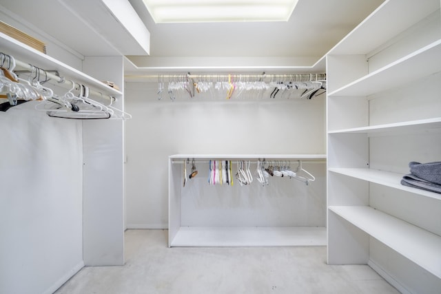 1 Karin Ct, East Northport, NY 11731 - view of spacious closet