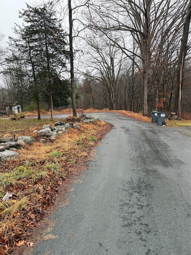 47 River Ln, Bloomingburg, NY 12721 - view of asphalt road