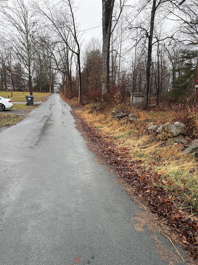 47 River Ln, Bloomingburg, NY 12721 - view of asphalt road