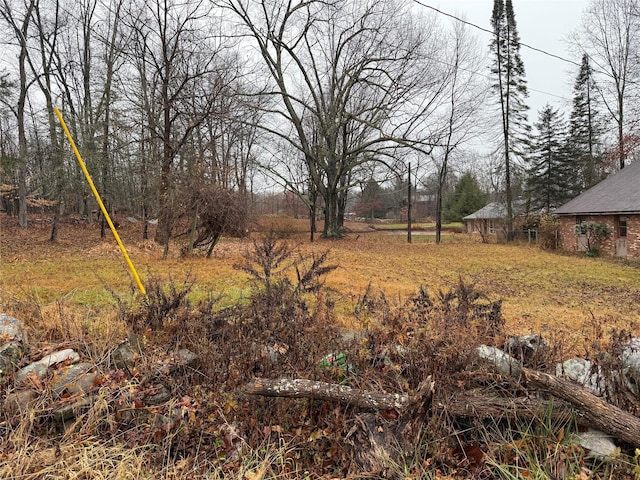 47 River Ln, Bloomingburg, NY 12721 - view of yard