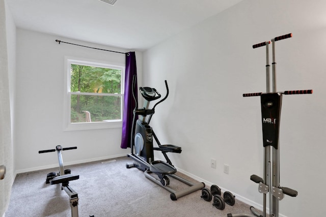 10 Van Wyck Dr, Poughkeepsie, NY 12601 - exercise room featuring carpet flooring and baseboards