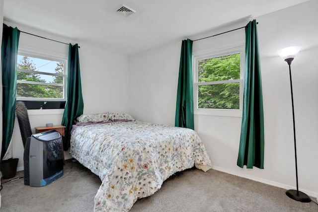 10 Van Wyck Dr, Poughkeepsie, NY 12601 - carpeted bedroom with multiple windows and baseboards