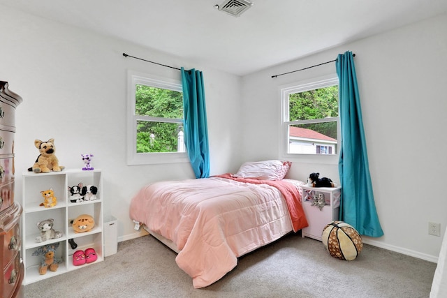 10 Van Wyck Dr, Poughkeepsie, NY 12601 - bedroom featuring multiple windows, carpet, and baseboards