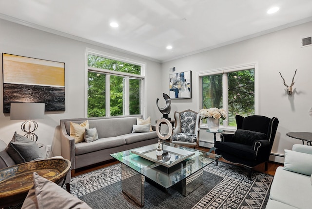 12 Rockridge Rd, Ardsley, NY 10502 - living room featuring a baseboard radiator, wood finished floors, ornamental molding, and recessed lighting