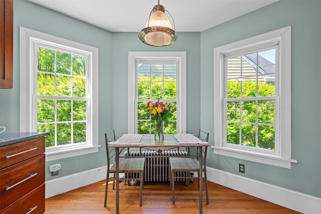 14 Mercer St, Middletown, NY 10940 - dining room featuring healthy amount of natural light, wood finished floors, and radiator heating unit