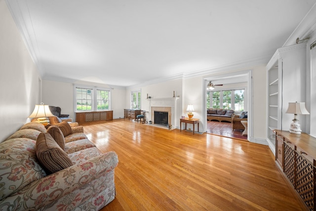 681 W 231st St, Bronx, NY 10463 - living area featuring crown molding, a fireplace with flush hearth, and light wood-style floors