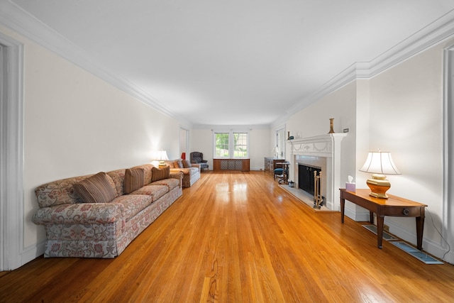 681 W 231st St, Bronx, NY 10463 - living room with light wood finished floors, a fireplace, and crown molding