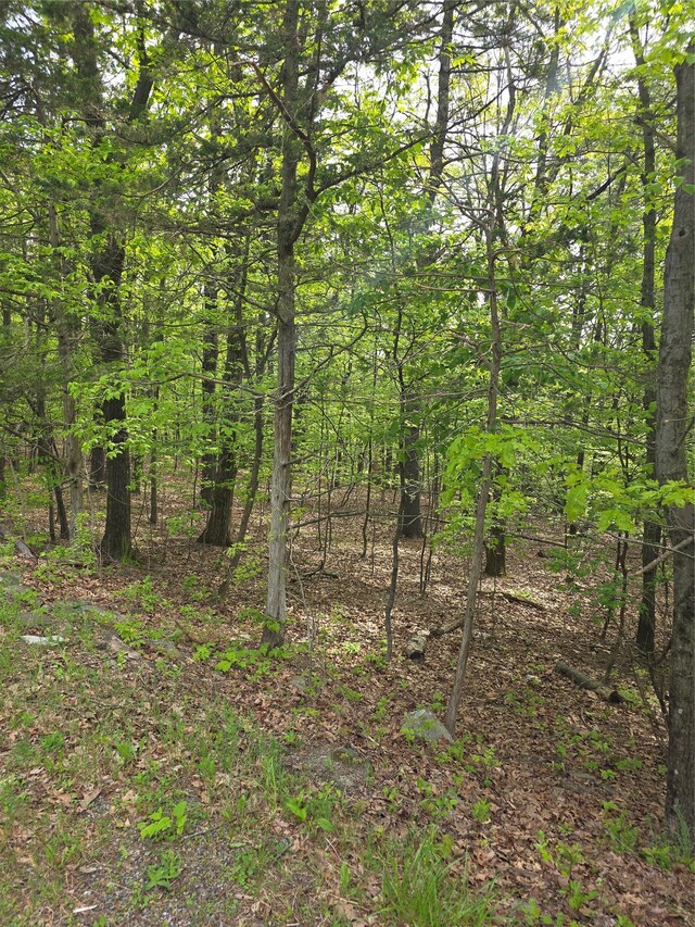 High Hill Rd, Athens, NY 12015 - photo 4