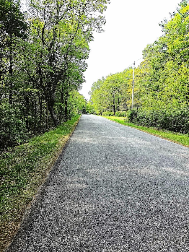 High Hill Rd, Athens, NY 12015 - photo 5