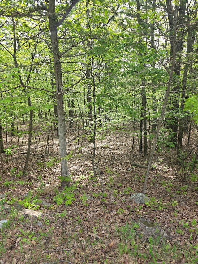 High Hill Rd, Athens, NY 12015 - photo 6