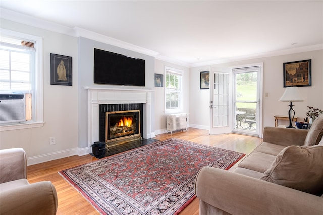 19 Reynal Rd, White Plains, NY 10605 - living room with radiator heating unit, a fireplace with flush hearth, healthy amount of natural light, light wood-type flooring, and crown molding