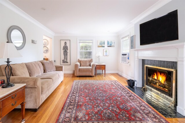 19 Reynal Rd, White Plains, NY 10605 - living area with ornamental molding, a fireplace with flush hearth, light wood-style flooring, and baseboards