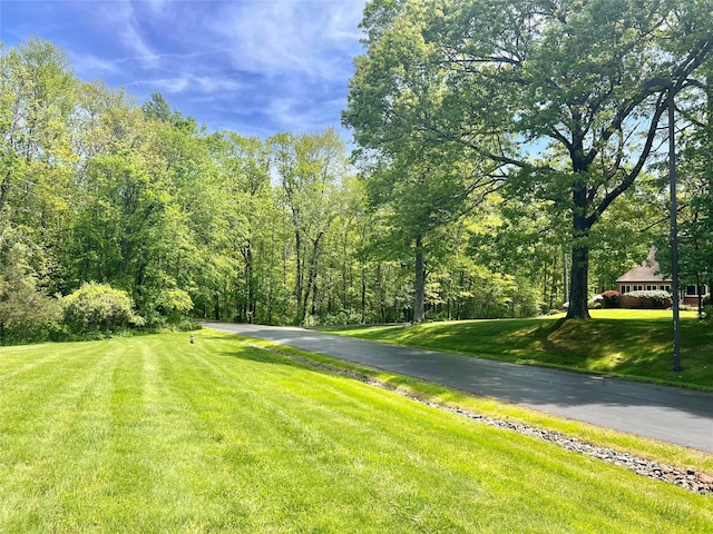 11 Jodi Dr, Newburgh, NY 12550 - view of road