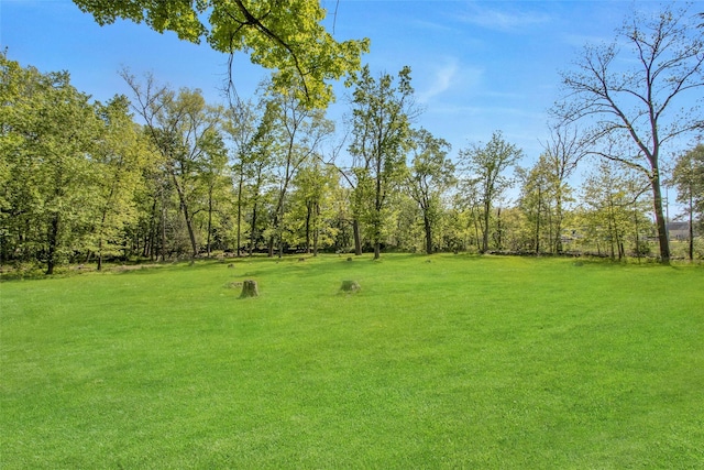 59 E Main St, Washingtonville, NY 10992 - view of grassy yard